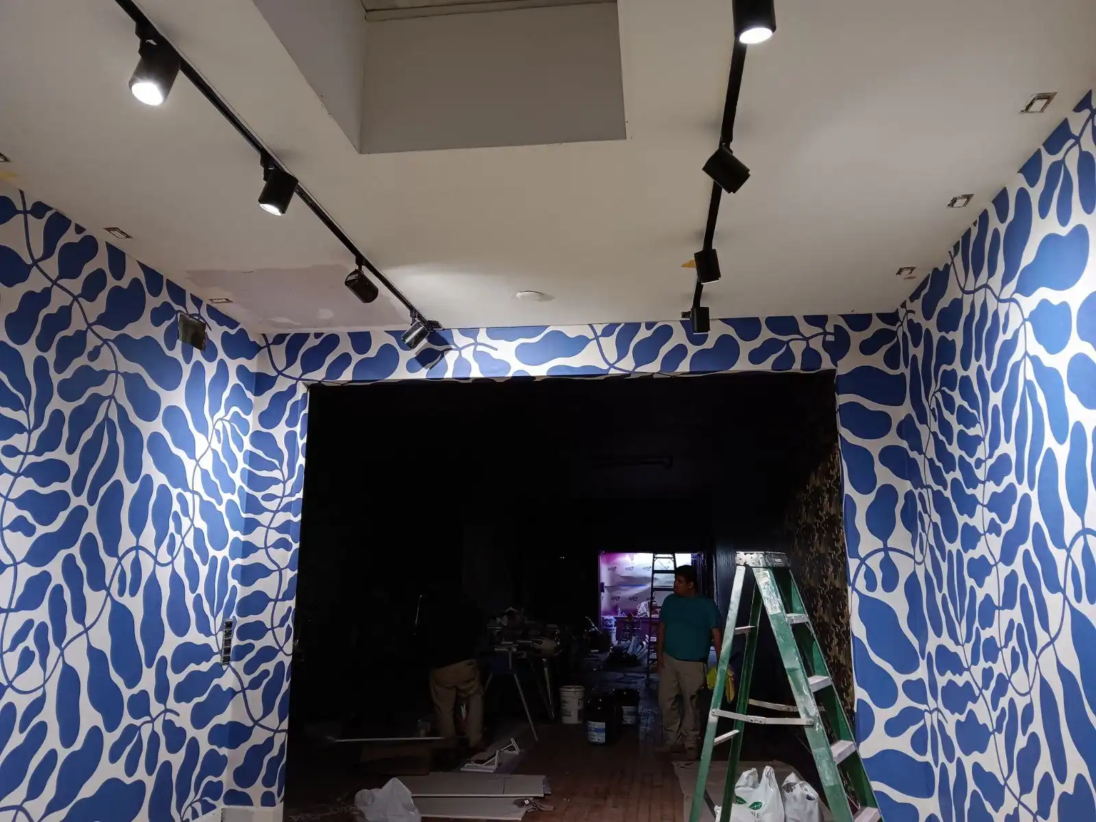 Houston Wallpaper Installation Missouri City