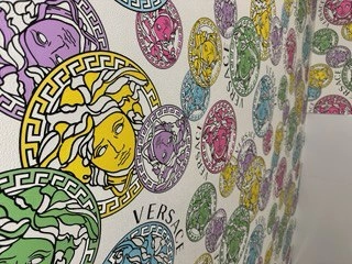 Houston Wallpaper Installation Sugar Land
